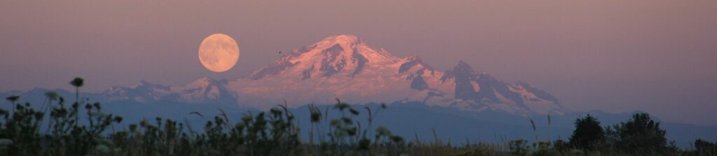 green leaf grass at distance to snow covered mountain during daytime