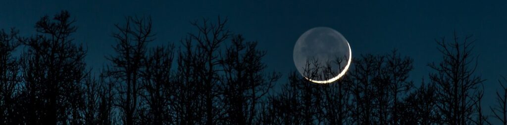 photo of crescent moon over trees at night
